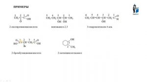 Номенклатура и классификация органических соединений. Часть 2.