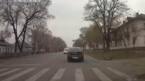 Свинья за рулем