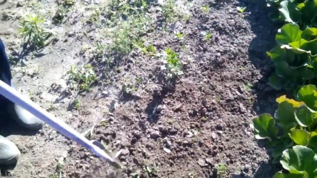 Удаление сорняков . Быстро. Легко смотреть онлайн