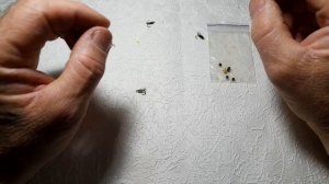 ЭТА ГИРЛЯНДА НЕ ПАРОВОЗ, А ПРАВИЛЬНО ИЗГОТОВЛЕННАЯ СНАСТЬ ДЛЯ ГЛУБИННОЙ ЛОВЛИ ВСЕЙ РЫБЫ!!!