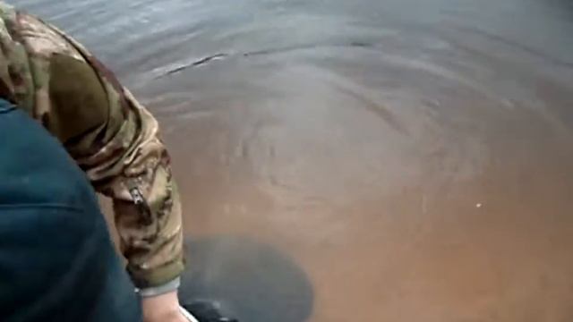 Неманские лещи смотреть онлайн