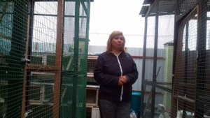 Содержание и разведение кур: всего понемногу