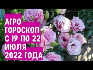 Агрогороскоп с 19 по 22 июля 2022 года