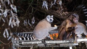 Самые малоосвоенные места Земли