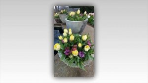 Контейнерные клумбы из луковичных