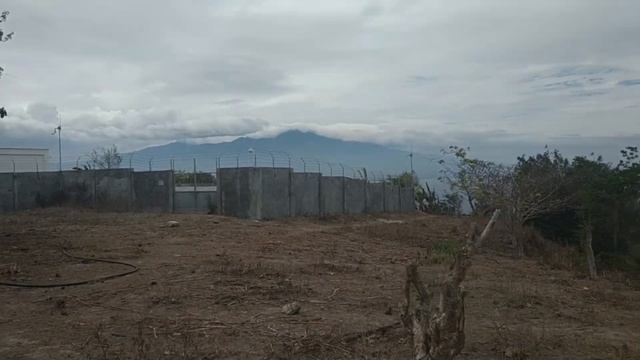 Apo island philippines part two/Поездка на остров Апо часть 2 смотреть онлайн