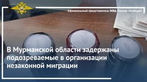 В Мурманской области задержаны подозреваемые в организации незаконной миграции