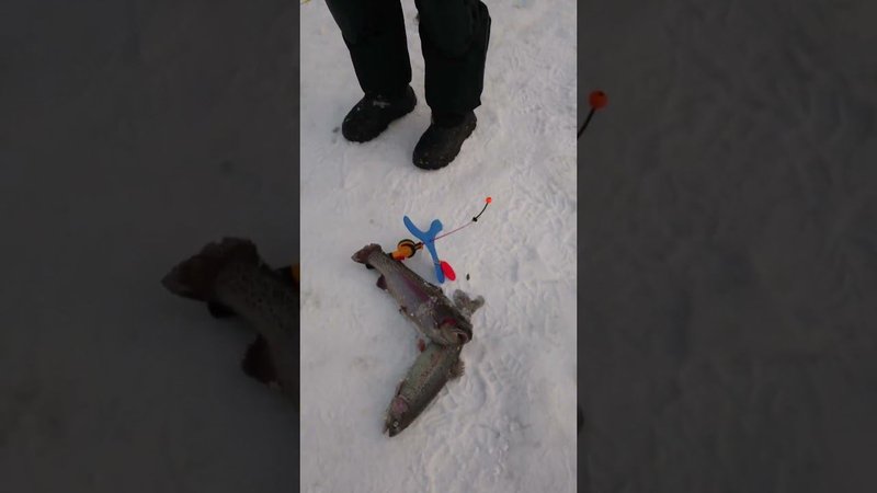 Пассив как из пулемёта