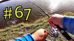 Платная рыбалка. "Юрково", участок Форель. Дачный будень #67