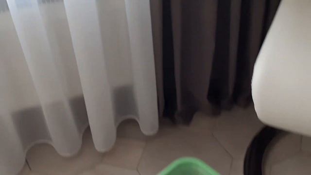 Разведение и содержание канареек овсяночного напева.  Вылет птенцов из гнезда.