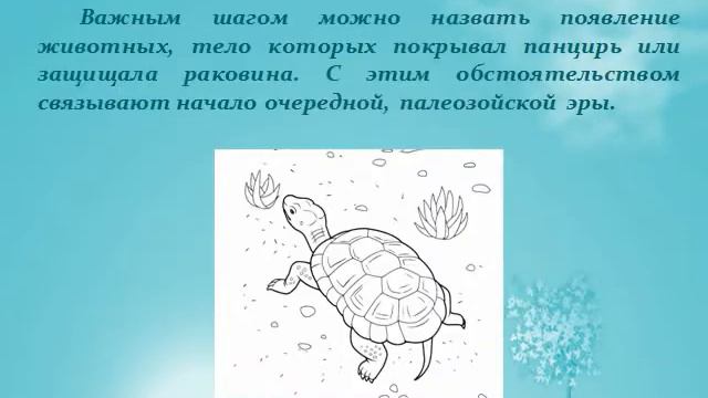 РАЗВИТИЕ ЖИЗНИ НА ЗЕМЛЕ
