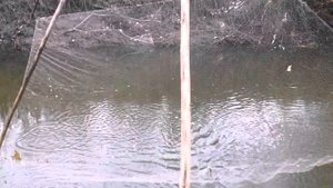 видео как зделать донку для рыбалки своими руками