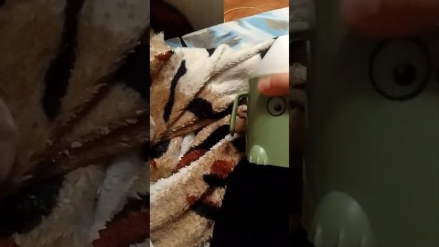 влог с Реборн Аделина Извините дальше не смогла потому что я случайно выключила запись смотреть онлайн