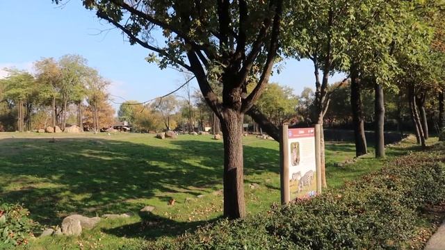 Осенняя BURSA. Интересные места в Бурсе куда хочется вернуться.