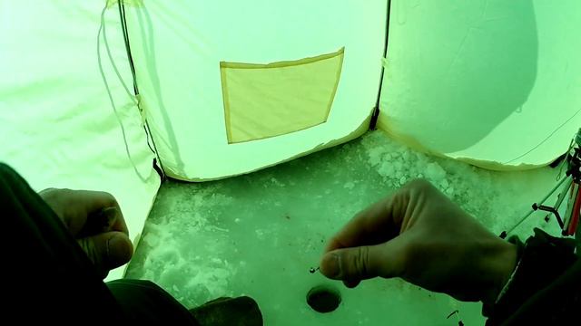 Зимняя рыбалка, бесклевье в Нагадаке. В поисках плотвы, надергал немного окуньков.