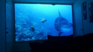 Home Theater (Benq MX501)