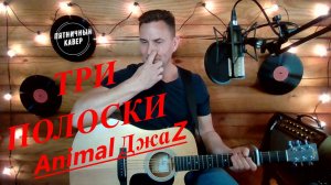 Кавер/ Три полоски/ Animal ДжаZ