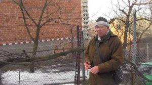 @Горизонтальный кордон винограда. Ответы на вопросы