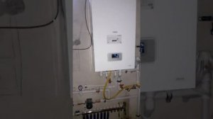 загудел котел протерм пантера, накипь желтого теплоносителя.