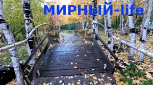 Вот и осень !