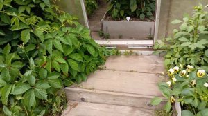 экскурсия по огороду