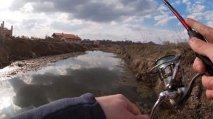 Рыбалка на ПОПЛА-ПОППЕР | Наловил КРАСНОПЁРОК в РУЧЬЕ!