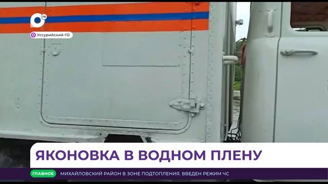 Отв чат владивосток