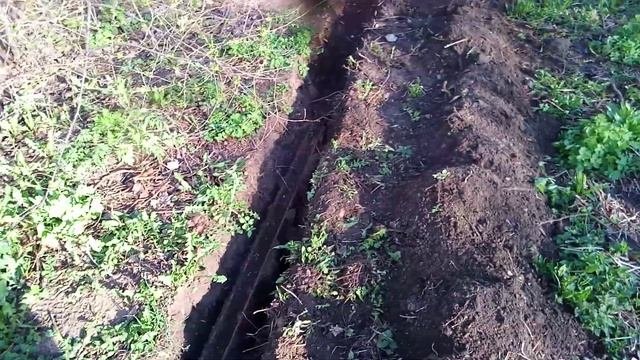 Реечный домкрат на копе ?