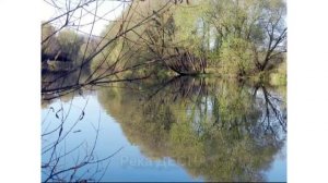 Евгений Дербенко - "Лирическая пьеса" ансамбль "Московская балалайка с моим участием)"