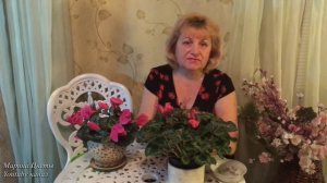 ЦИКЛАМЕН ВЫРАЩИВАНИЕ И УХОД