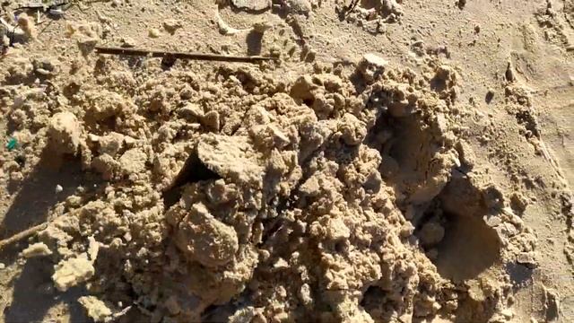 Gold detector That's what it's worth 2020 смотреть онлайн