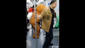 медведь на TikTok китайский