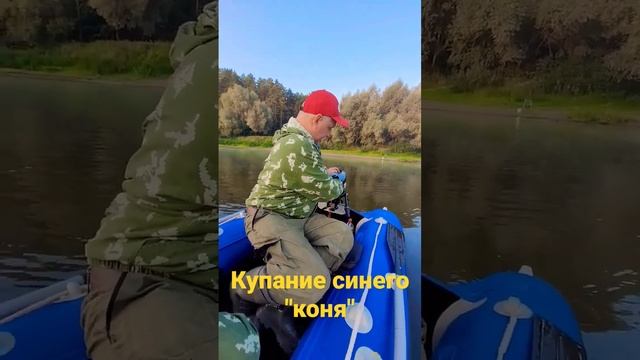 Вытащили лодку на воду.