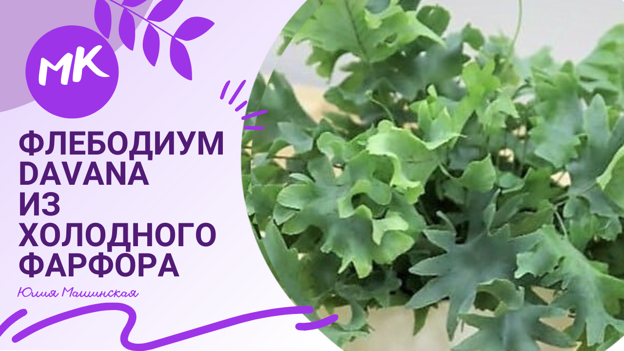 Мк Флебодиум "Davana" из холодного фарфора