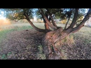 вокруг села Карбаны 24 сентября   SD 480p