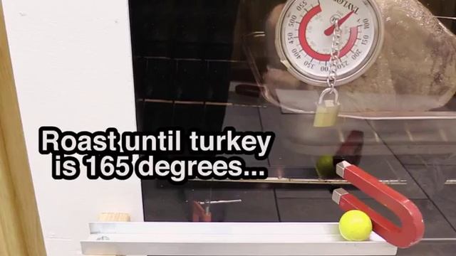 Быстрый способ приготовить индейку смотреть онлайн