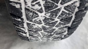 Bridgestone Blizzak DM-V2
