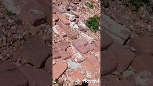 Обзорная экскурсия по Фортам Кронштадта  с высадкой на Форт Павел (7 мая 2023)