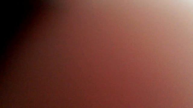 Няшные животные!!! смотреть онлайн