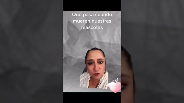 Qué pasa cuando mueren nuestras mascotas? смотреть онлайн