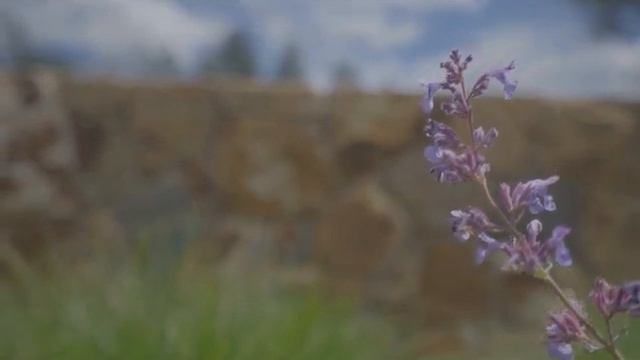 НОВОЛУНИЕ В РЫБАХ - 13 МАРТА 2021 года - Астрология смотреть онлайн