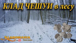 Клад чешуи и шурф чешуи. Мы нашли клад в лесу. Что можно найти в лесу с металлоискателем часть 2