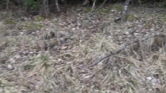 По ручьям за золотом. смотреть онлайн