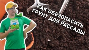 Как обезопасить грунт для рассады? Действенные способы