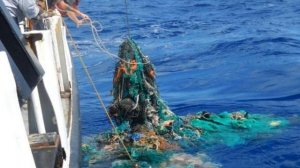 Пятно мусора в Тихом океане в три раза превысило площадь Франции