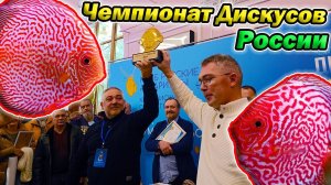 Чемпионат дискусов России 2024 [Выставка аквариумных рыбок 2 часть]