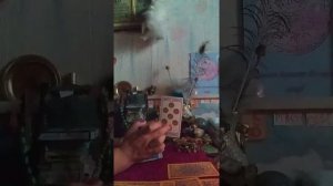 Гадание кто устраивается на работу и кто не может устроиться на работу