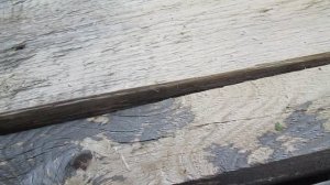 Сагус - хлорный отбеливатель для древесины