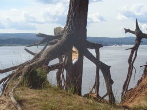 Никому тебя  не отдам -  Исполнитель Виктор Королёв