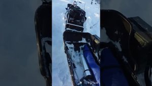 ~~~☆КОЙРА БОГАТЫРЬ☆~~~